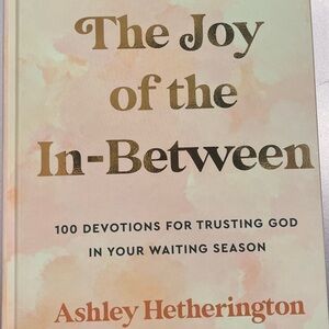 The Joy of the In-Between Book